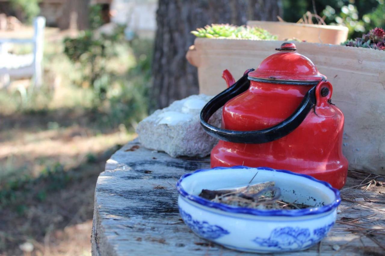 Giardino Della Moscatella Bed & Breakfast อัลตามูรา ภายนอก รูปภาพ