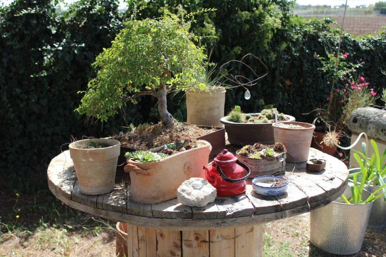 Giardino Della Moscatella Bed & Breakfast อัลตามูรา ภายนอก รูปภาพ