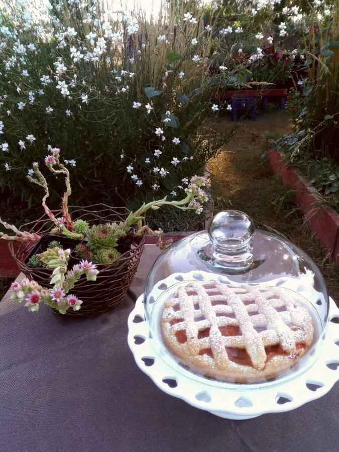 Giardino Della Moscatella Bed & Breakfast อัลตามูรา ภายนอก รูปภาพ