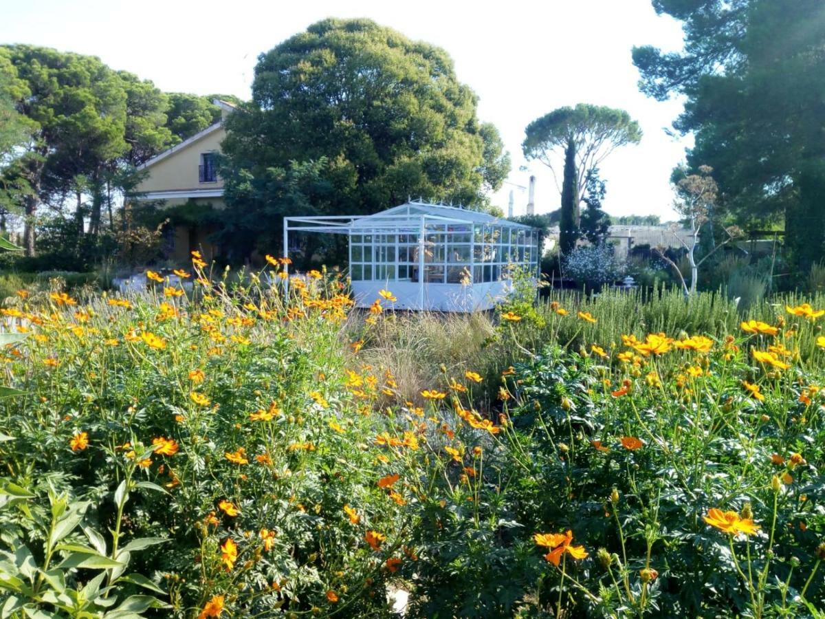 Giardino Della Moscatella Bed & Breakfast อัลตามูรา ภายนอก รูปภาพ